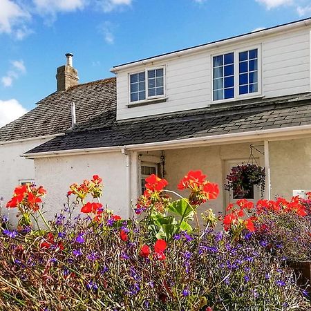 Meadow Lakes Holiday Park St Austell Exteriör bild