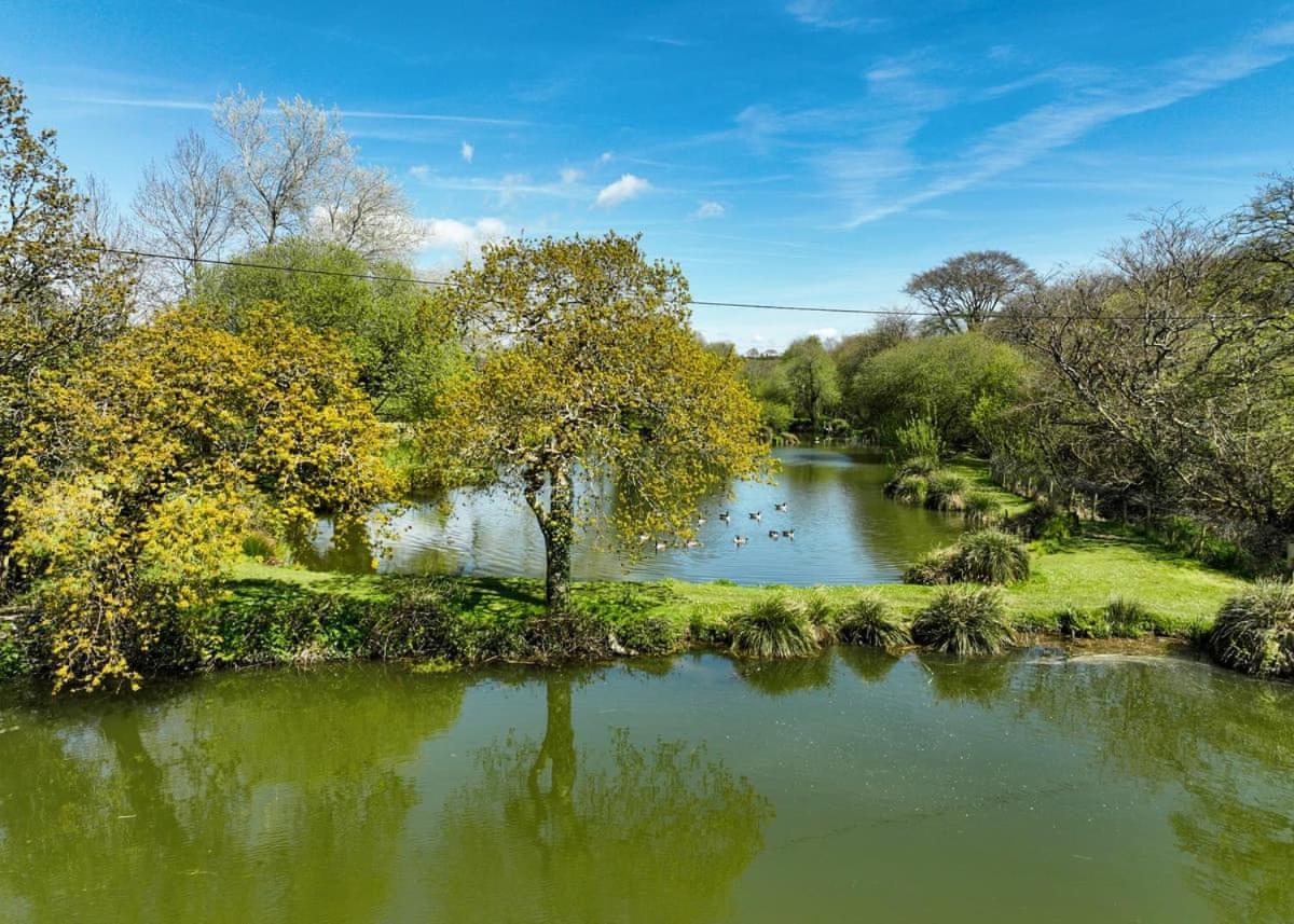 Meadow Lakes Holiday Park St Austell Exteriör bild